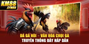 Đá Gà Nòi – Văn Hóa Chọi Gà Truyền Thống Đầy Hấp Dẫn