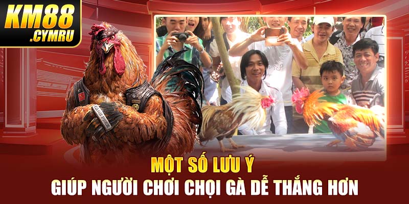 Một số lưu ý giúp người chơi chọi gà dễ thắng hơn