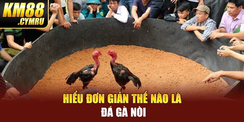 Hiểu đơn giản thế nào là đá gà nòi