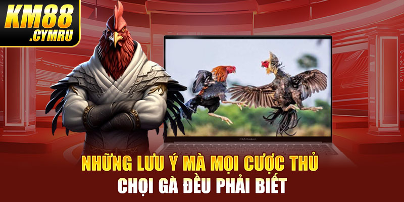 Những lưu ý mà mọi cược thủ chọi gà đều phải biết Những lưu ý mà mọi cược thủ chọi gà đều phải biết