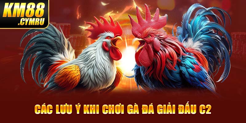 Các lưu ý khi chơi gà đá giải đấu C2