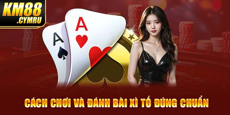 Xì Tố - Cách Chơi Và Đặt Cược Đơn Giản, Nhanh Chóng Nhất