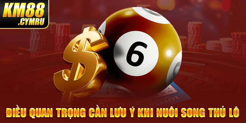 Điều quan trọng cần lưu ý khi nuôi song thủ lô