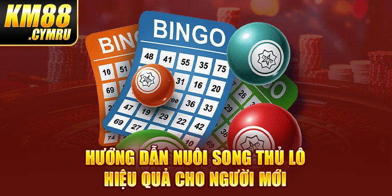 Hướng dẫn nuôi song thủ lô hiệu quả cho người mới