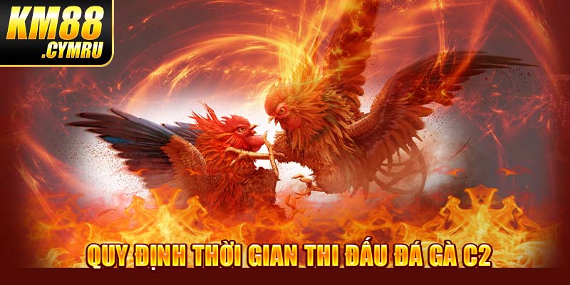 Quy định thời gian thi đấu đá gà C2