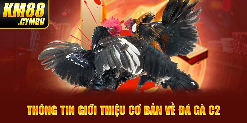 Thông tin giới thiệu cơ bản về đá gà C2