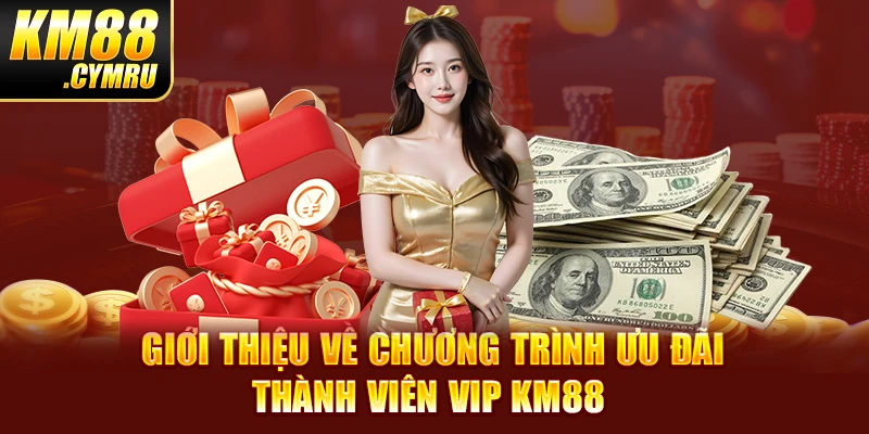 Giới thiệu về chương trình ưu đãi thành viên VIP KM88 